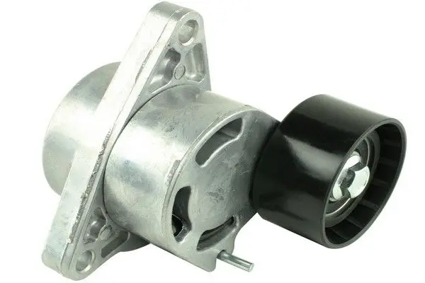 Натяжник паска поліклин. Nissan/Renault 2.2dCi-2.5dCi 2003- Fast FT44620 (фото 1)