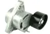 Натяжник паска поліклин. Nissan/Renault 2.2dCi-2.5dCi 2003- Fast FT44620 (фото 1)