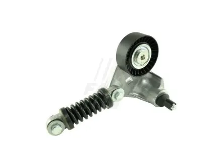 Натяжник паска приводного Ford Transit/Mondeo 2.0Di 00- fast FT44631