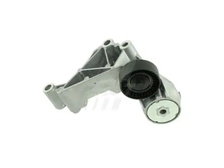 Натяжник поліклинового паса Ford Focus, Tourneo/Transit Connect 1.8TDCi/DI/TDDi 10.98- Fast FT44622