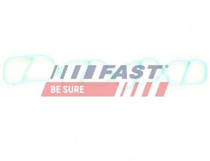 Прокладка IN колл. Fiat Doblo/Opel Agila,Corsa,Meriva,Tigra 1,3 Ltr. CDTI Z13DT/DTJ fast FT49436