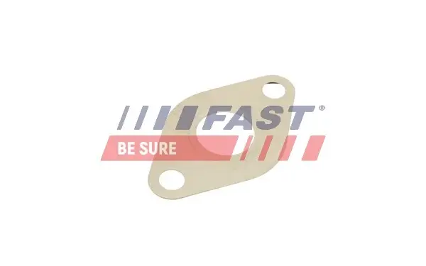 Прокладка клапана EGR 1,9TDI VAG A4-6/Galaxy/Alhambra/Supe fast FT50609