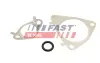 Прокладка клапана к-кт EGR CITROËN JUMPER 3.0HDi 06- FIAT DUCATO 3,0D 06- IVECO DAILY 3.0D 99-14 fast FT50617