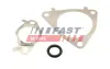 Прокладка клапана к-кт EGR CITROËN JUMPER 3.0HDi 06- FIAT DUCATO 3,0D 06- IVECO DAILY 3.0D 99-14 fast FT50617