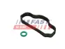 Прокладка клапана рециркуляції FORD TRANSIT 2.0 EcoBlue 20- fast FT48302