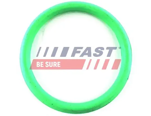 Прокладка колл. IN Citroen Berlingo, C2, C3, Saxo, Xsara, ZX Peugeot 1007, 106, 206, 306, 307, Partner 1.4 10.93- Fast FT49434 (фото 1)