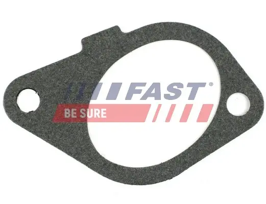 Прокладка колл. IN Citroen Berlingo/Jumpy/Expert 1.9D Fast FT49433 (фото 1)