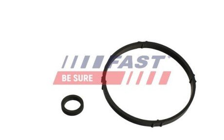 Прокладка корпуса масляного фільтра Citroen Berlingo, Berlingo Multispace, C2, C3 I, C3 Ii, C3 Pluriel, C4, C4 I, Nemo, Saxo, Xsara, Xsara Picasso Peugeot 1007, 106 Ii, 206 1.1-1.6Alk 02.96- fast FT48952