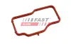 Прокладка термостата CITROËN JUMPER 2.0HDi 15-, OPEL VIVARO 2.0 19- Fast FT58307 (фото 2)