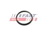 Прокладка вакуумного насоса Fiat Ducato/ Peugeot Boxer/Ford Transit 2.2HDi/TDCi 06- Fast FT49853 (фото 2)