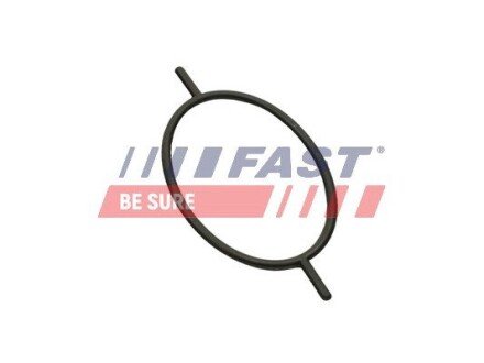 Прокладка вакуумного насоса Ford Focus/Connect/Escort/Mondeo 1.8D/1.8TD/1.8TDCI fast FT49923