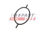 Прокладка вакуумного насоса Ford Focus/Connect/Escort/Mondeo 1.8D/1.8TD/1.8TDCI fast FT49923