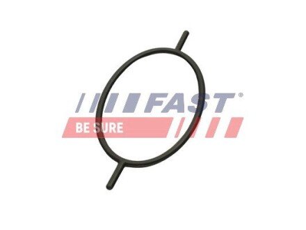 Прокладка вакуумного насоса Ford Focus/Connect/Escort/Mondeo 1.8D/1.8TD/1.8TDCI fast FT49923