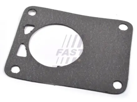 Прокладка Вакуумного Насосу Fiat Ducato 02 Fast FT49901