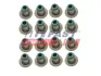 Сальник клапана к-кт (16шт) Fiat Ducato 2.3JTD,Peugeot Boxer 3.0HDI,Citroen Jumper 3.0HDI Fast FT49604 (фото 1)