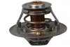 Термостат Citroen Jumper 2.8l/Fiat Ducato/Opel Movano 2.4-2. fast FT58032
