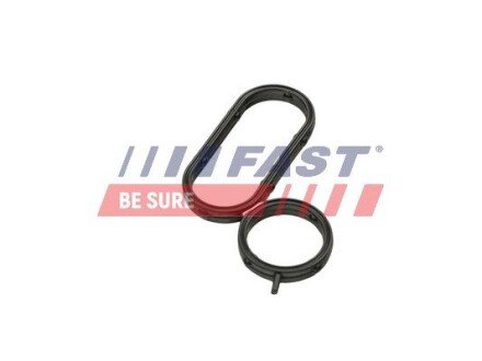 Ущільнення радіатора оливи (норма випуску газів EURO 5) Citroen Jumper 2.2HDI 06- fast FT48944