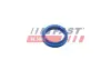 Ущільнювач масляного щупа FORD FOCUS I, TRANSIT CONNECT 1.8D 03.01-12.13 fast FT48955