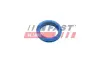 Ущільнювач масляного щупа FORD FOCUS I, TRANSIT CONNECT 1.8D 03.01-12.13 fast FT48955