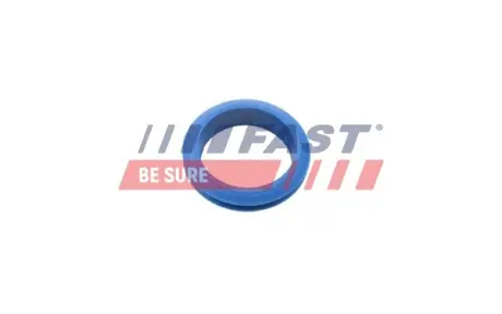 Ущільнювач масляного щупа FORD FOCUS I, TRANSIT CONNECT 1.8D 03.01-12.13 fast FT48955