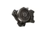 Водяна помпа Citroen/Fiat/Peugeot 3.0HDI 04-06- Fast FT57147 (фото 1)