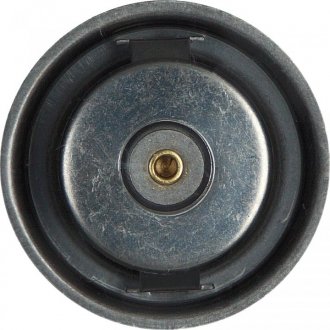 Термостат, охлаждающая жидкость febі Bilstein 15846