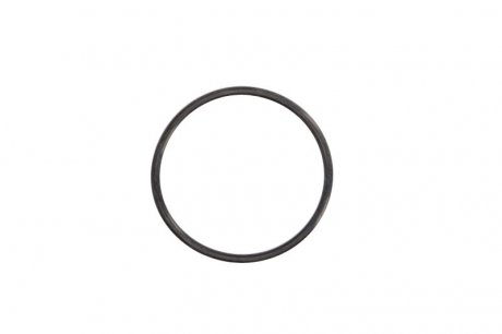 Уплотнительное кольцо для термостата (пр-во) febі Bilstein 11443