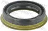 САЛЬНИК ПРИВОДУ 42.7X60.3X11.95X13.1, FORD(вир-во FEBEST) febest 95MEY44601213C
