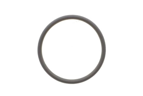 Кільцо термостата M 271 febі Bilstein 100077 на Мерседес Clk