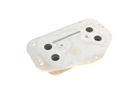 Радиатор маслянный + прокладки febі Bilstein 101406