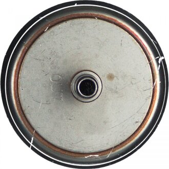 Фільтр палива febі Bilstein 103008