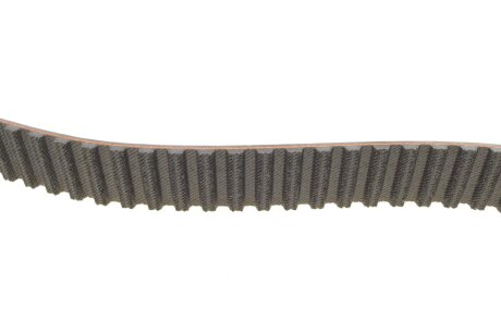 Комплект ГРМ febі Bilstein 173211