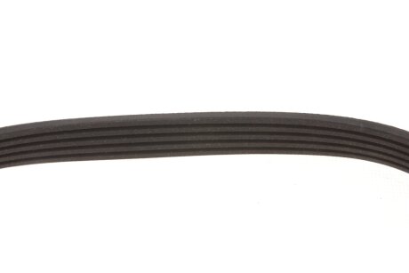 Пасок велоклиновий febі Bilstein 176318