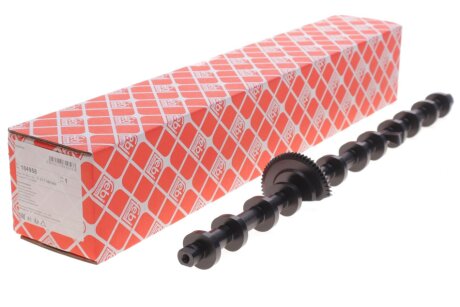 Ексцентриковий вал N55 febі Bilstein 184958