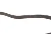 Пасок велоклиновий febі bilstein 188463