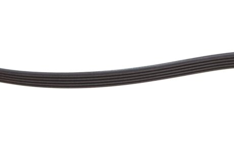 FEBI Пас П-клиновий 5PK1440 febі Bilstein 188477