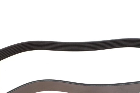 Доріжковий пас febі Bilstein 188682