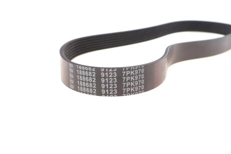 Доріжковий пас febі Bilstein 188682