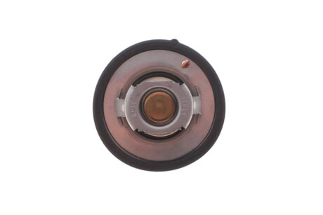 Термостат з ущільнюючим кільцем febі Bilstein 193096