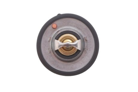 Термостат з ущільнюючим кільцем febі Bilstein 193096