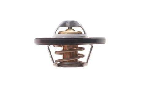 Термостат з ущільнюючим кільцем febі Bilstein 193096