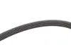 FEBI - Ремінь (поліклиновий) febі bilstein 28879