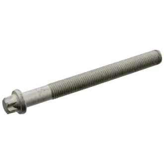 Болт головки цилиндра Renault Megane / Renault Kangoo Febі Bilstein 19419