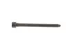 Болт головки (з шліцем типу Torx) Febі Bilstein 184669 (фото 1)