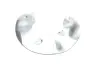 Brake Disc Shield Febі Bilstein 175473 (фото 2)