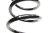 Coil Spring Febі Bilstein 174724 (фото 3)
