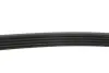 FEBI Ремень 5PK1145 PEUGEOT 605 2,0 89-99 Febі Bilstein 28856 (фото 3)