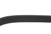 FEBI Ремень П-клиновой 6PK1642 FORD Mondeo III 2,0/2,2TDCi febі bilstein 39793