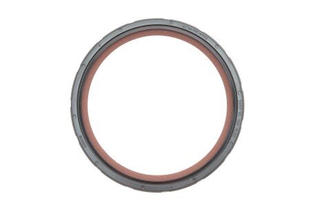 К-т приводу грм, масляного насоса та балансувального валу febі Bilstein 180427