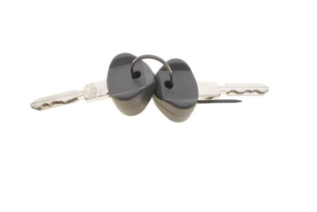 Личинка замка зажигания febі Bilstein 17690